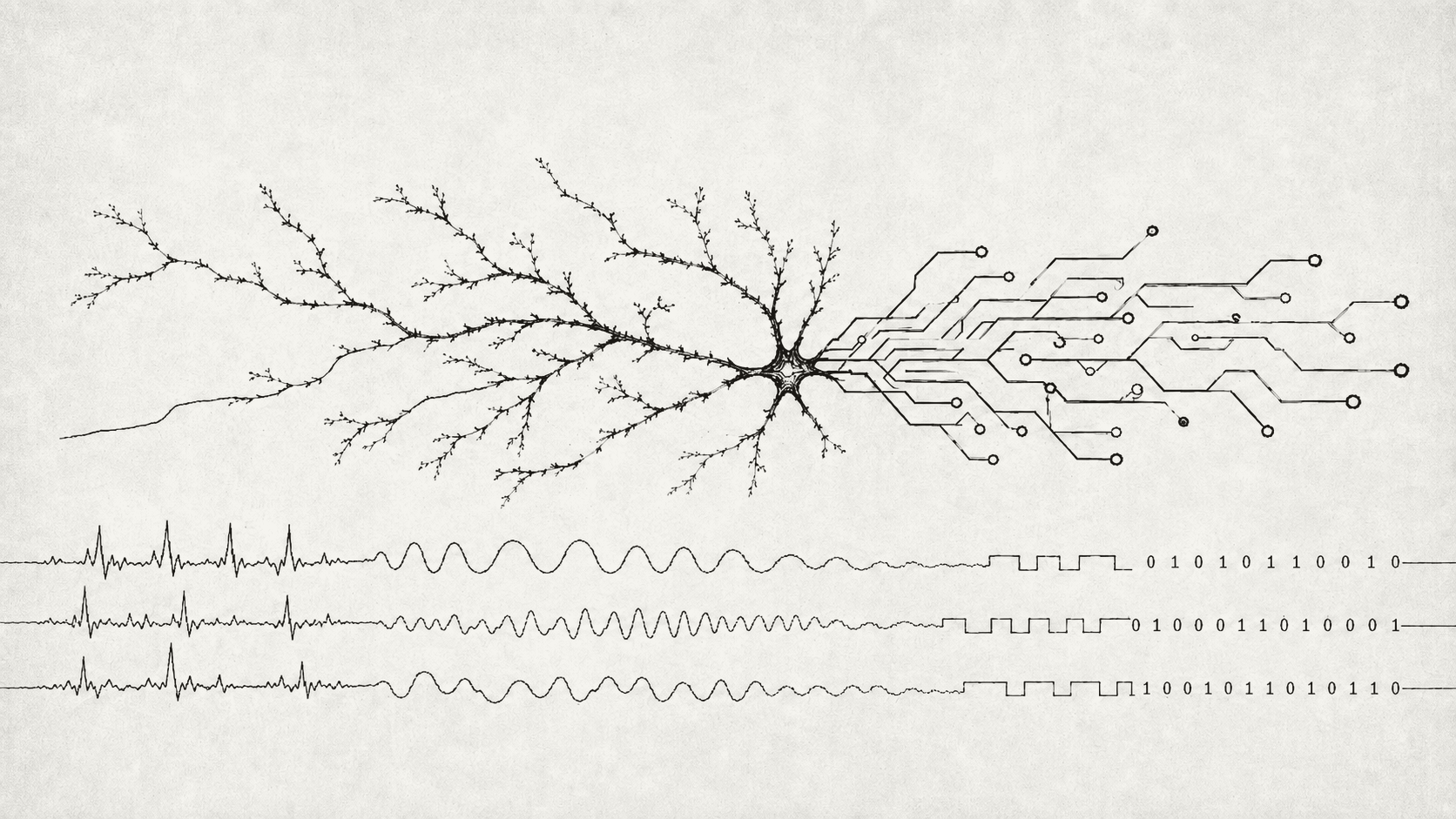 Neurovium — dendrite flowing into circuit