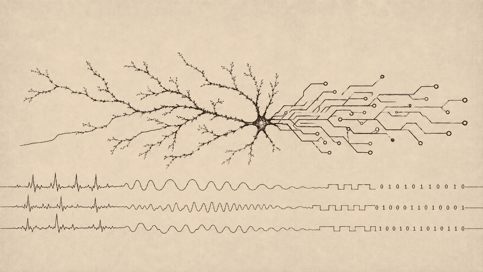 Neurovium — dendrite flowing into circuit