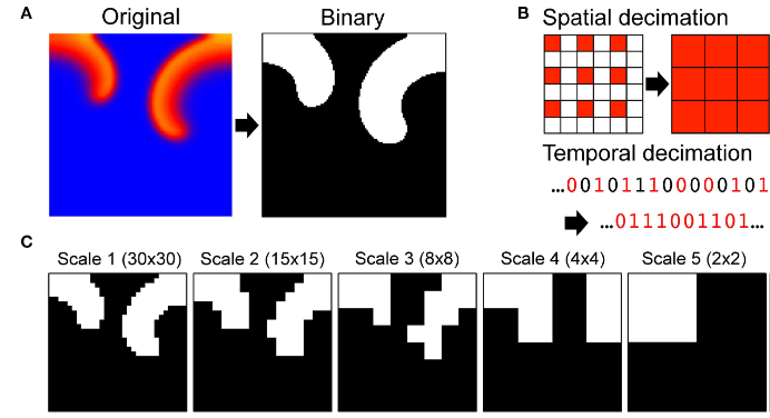 Causal Scale of Rotors in a Cardiac System — teaser figure