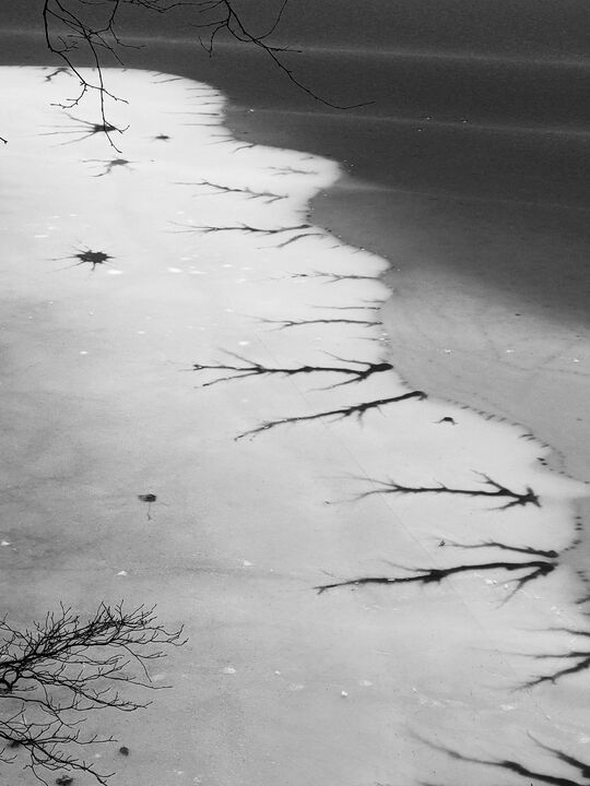 Ice formation on Walden Pond resembling a neuron — 3