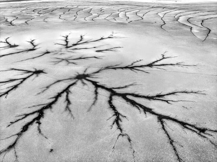 Ice formation on Walden Pond resembling a neuron — 4