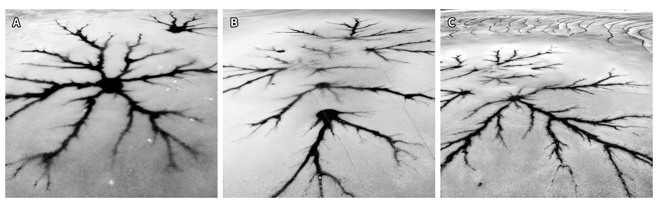 Field closure, ice neurons, and when a dendrite is a motif — teaser figure