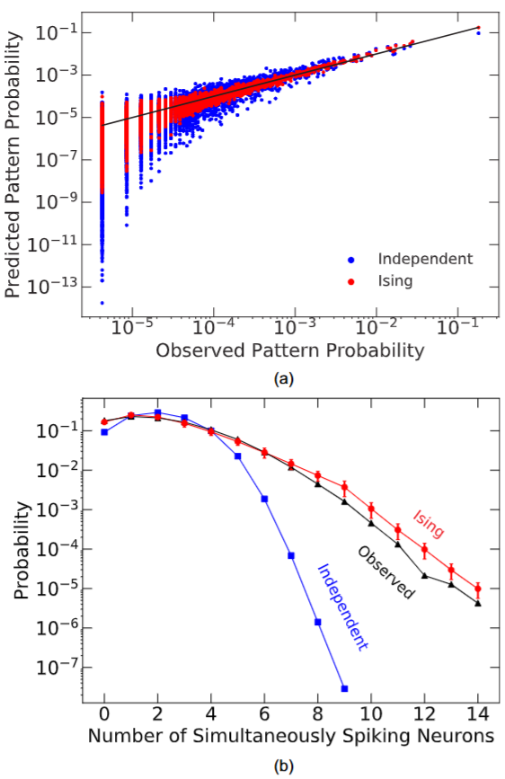 Ensemble inhibition and excitation in the human cortex: An Ising-model analysis with uncertainties — teaser figure
