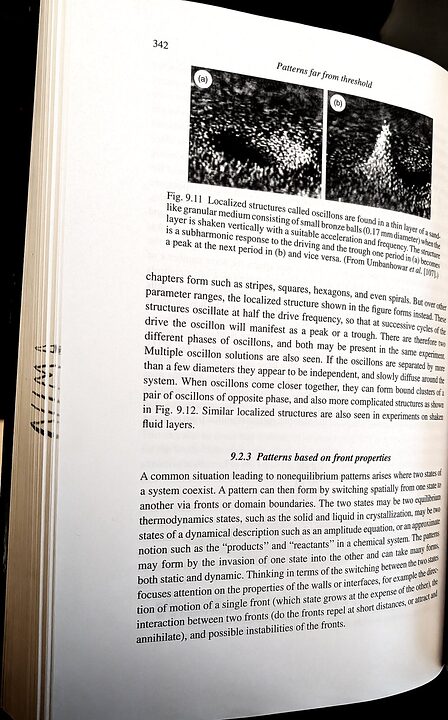 Book pages on pattern formation far from threshold — 1