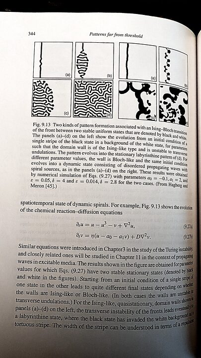 Book pages on pattern formation far from threshold — 3