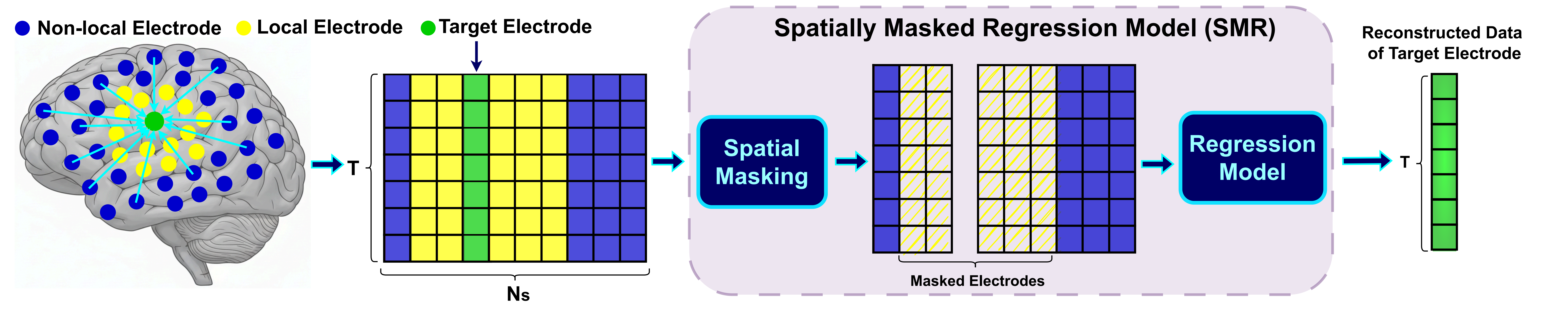 Spatially Masked Regression Reveals Local and Distributed Predictability in Electrophysiological Recording — teaser figure