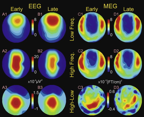 Topographical frequency dynamics within EEG and MEG sleep spindles