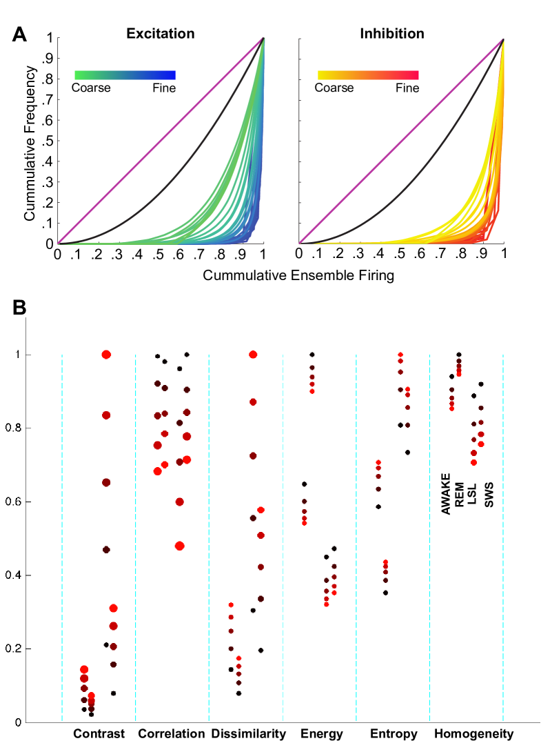 Symmetry’s Edge in Cortical Dynamics Multiscale Dynamics of Ensemble Excitation and Inhibition — teaser figure
