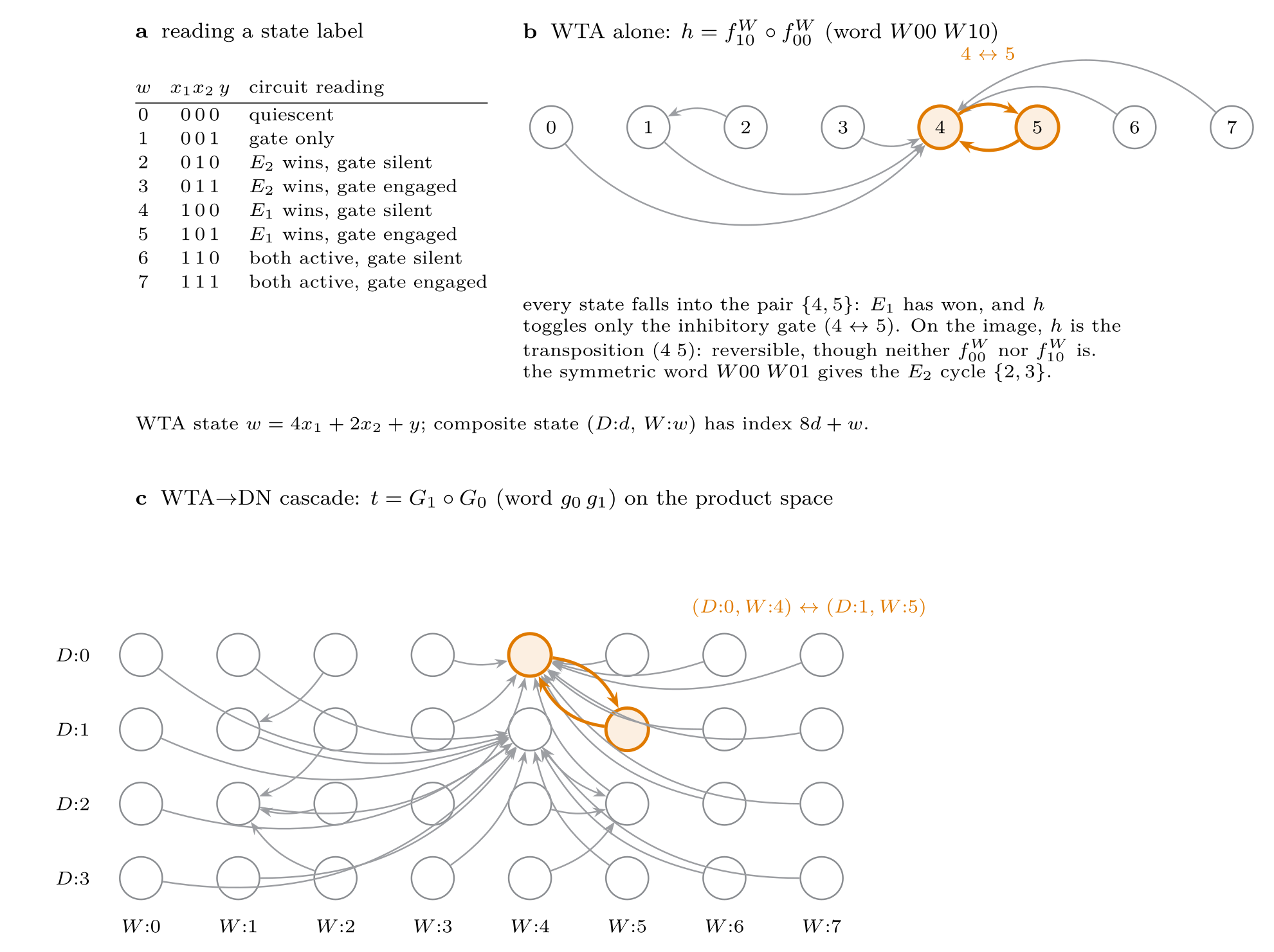 Algebraic Emergence of Effective Theories in Canonical Recurrent Motifs of Biological Neuronal Networks